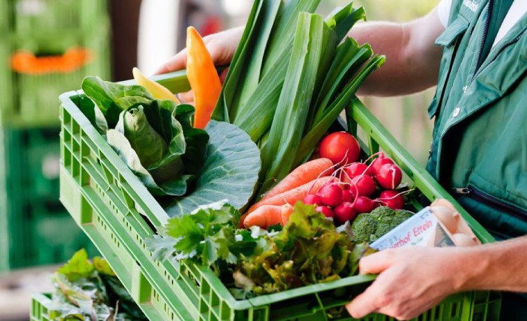 die_aktuellen_kisten_1180x460